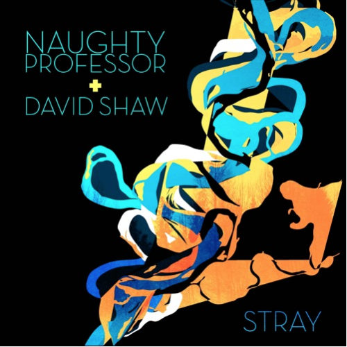 Naughty Professor - Stray